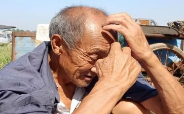 小学生作文老人与海读后感5篇
