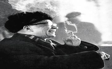 《养花》老舍读后感6篇