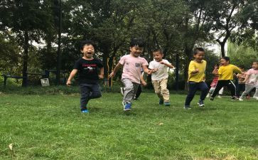 小学生写老鹰捉小鸡作文5篇