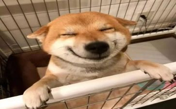 乐于助人演讲稿5篇