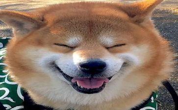 音乐教学计划七年级上册5篇