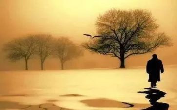 魅力中国年演讲稿6篇