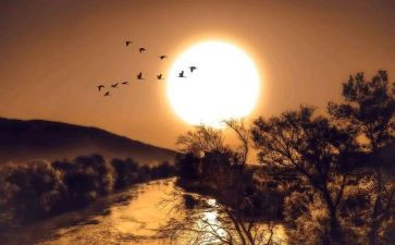 了不起的人作文500字8篇