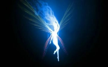 灵魂的巢读后感7篇