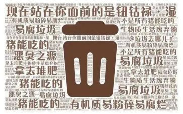 倒垃圾的心得体会精选6篇