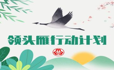 2024年领头雁培训心得体会6篇