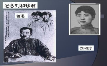 刘和珍作文素材300字5篇