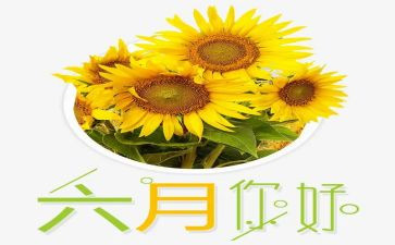 六月份工作计划优秀8篇
