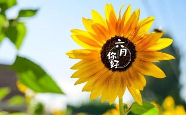 六月份工作计划6篇