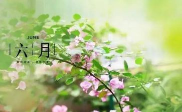2023年小班六月计划5篇