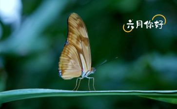 六月份工作计划范文5篇