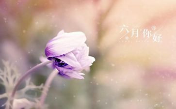 幼儿园大班六月份工作计划8篇
