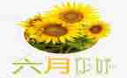 小小班六月份工作总结6篇