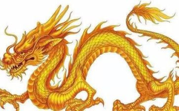 关于龙的作文800字通用5篇