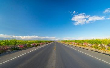 高速公路收费员工作心得体会8篇