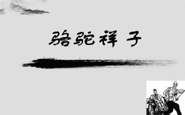 骆驼的作文模板6篇