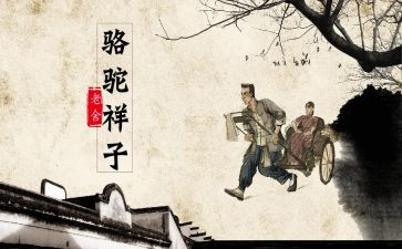 骆驼的作文最新7篇