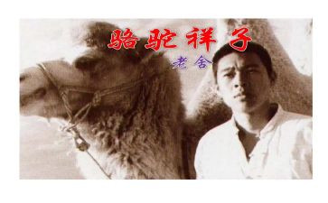 骆驼的作文7篇