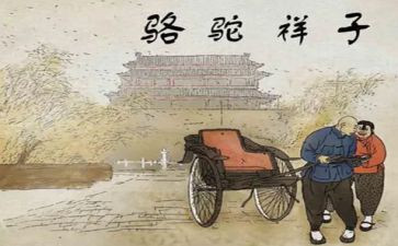 骆驼的作文500字8篇
