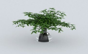 绿色环保低碳生活演讲稿7篇