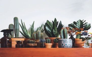 绿领巾活动方案5篇