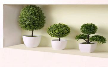 校园绿化工作总结范文5篇