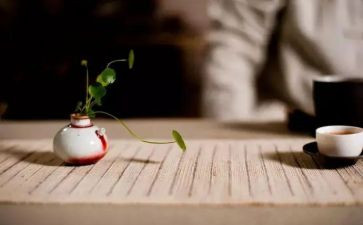 慢病管理的工作计划7篇