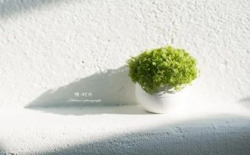 慢读后感参考8篇