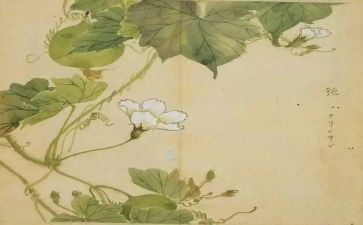 氓的读后感300字推荐6篇