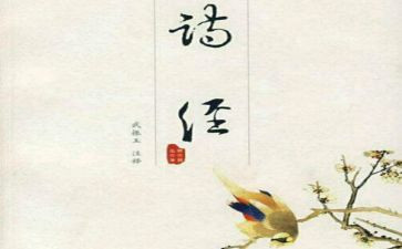 氓的读后感300字5篇