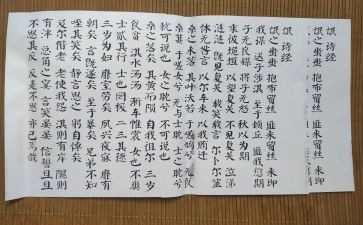 氓读后感300字最新8篇