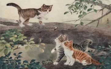 我和猫的作文700字6篇
