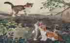 小学生喂小猫作文优质7篇