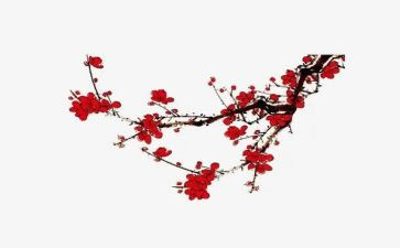 吹画梅花教案5篇