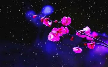 梅花的作文500字5篇