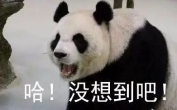 没想到_______作文600字7篇