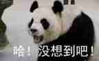 没想到_______作文600字7篇