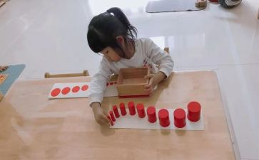 蒙氏教研计划8篇