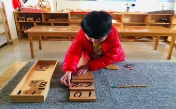 蒙氏老师述职报告最新5篇