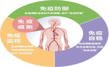 免疫科自我鉴定7篇