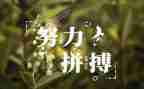 名人传的读后心得体会8篇