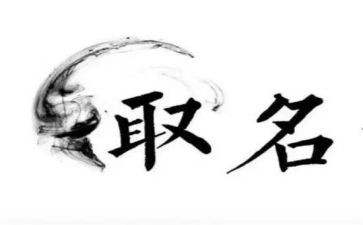 我名字的来历作文300字5篇