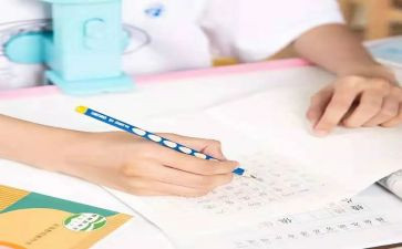 小学生默写作文通用7篇