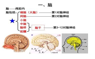 购买电脑的合同优秀8篇
