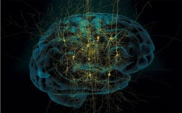 购买电脑的合同推荐5篇