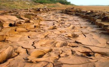 大班幼儿泥塑教案7篇