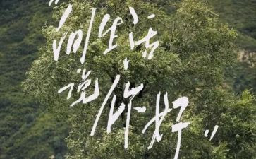 《你好》作文参考7篇