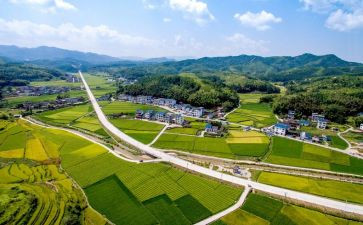 宁化环境调查报告范文精选8篇