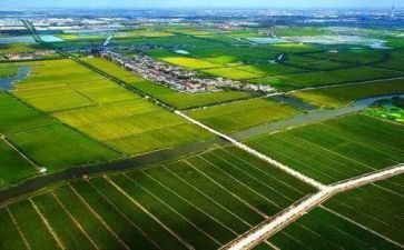农业局2023年工作计划参考6篇