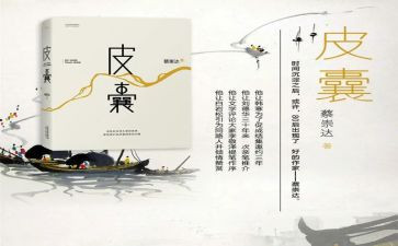 皮囊读后感6篇